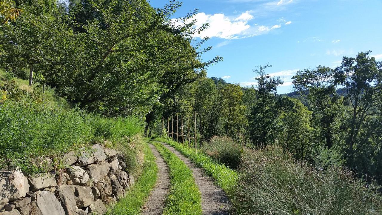 Agriturismo San Genesio Rovagnate Exteriér fotografie